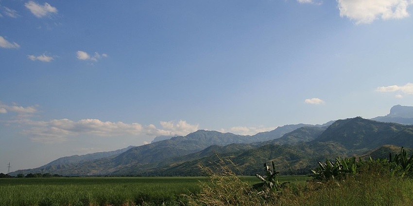Landscape of Udzungwa Mountains National Park with vibrant greenery and distant hills.